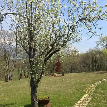 The Music Tatil Evi *